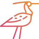 pájaro icon