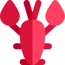 homard icon