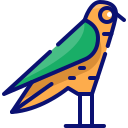 pájaro icon