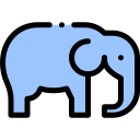 elefante icon