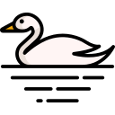 cisne icon