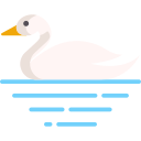 cisne icon