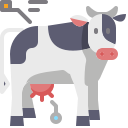 vaca icon