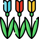 tulipanes icon