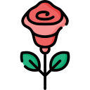 꽃 