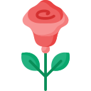 꽃 