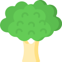 Broccoli icon