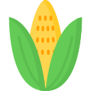 Corn icon