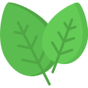 Spinach icon