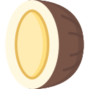 Coconut icon