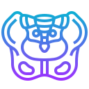 pelvis icon