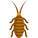 cucaracha icon