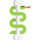 serpiente icon