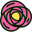 rosa