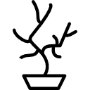 bonsai icon