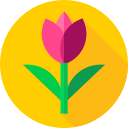 tulipán icon