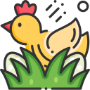 pollo icon