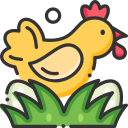 pollo icon