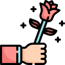 rosa 