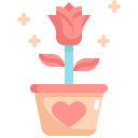rosa icon