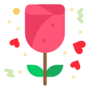 rosa icon