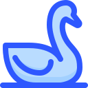 cisne 