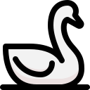 cisne 