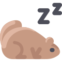 marmota icon