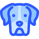 perro icon