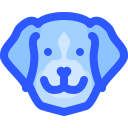 perro icon