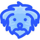 perro icon