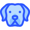 perro icon