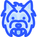 perro icon