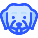 perro icon