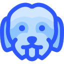 perro icon