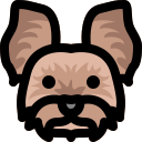 perro icon