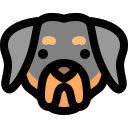 perro icon