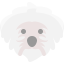 perro icon