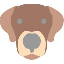 perro icon