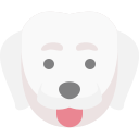 perro icon