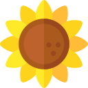 girasol icon