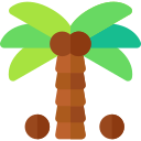 palmera