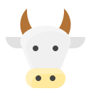 vaca