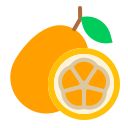 kumquat 