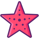 estrella de mar 