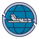 국제적인 icon