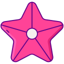 estrella de mar 