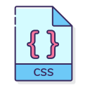 css 