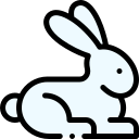 Rabbit icon