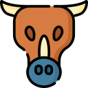 vaca icon